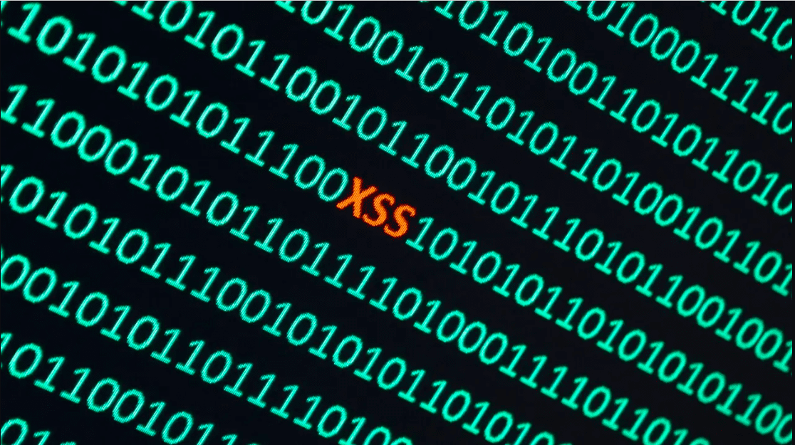 Spot The Vulnerability XSS Challenge Simplified