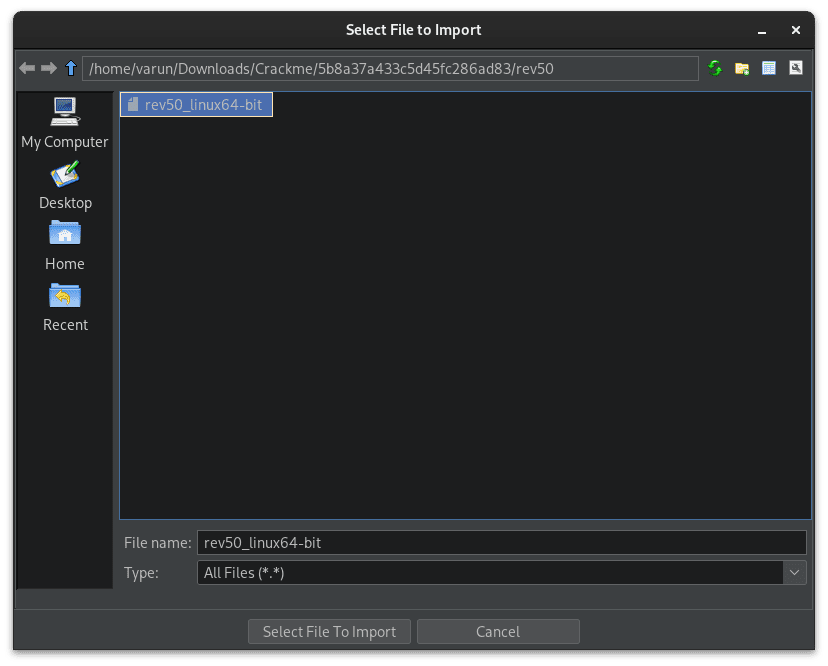 Import file in ghidra